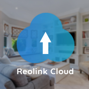 Reolink Camera
